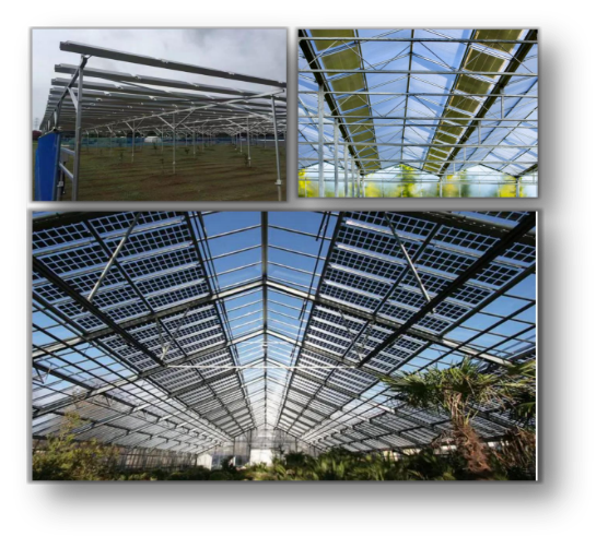 Agricultural Greenhouses